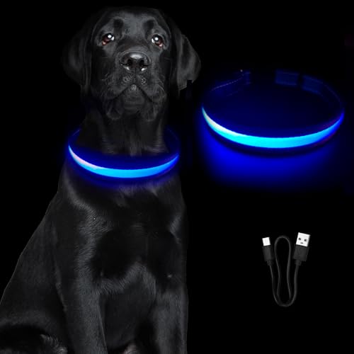 Hundehalsband Leuchtend,Leuchthalsband Hund Aufladbar,Wasserdicht Halsband Hund,Einstellbare Größe,Haustier Sicherheit Kragen,3 Blitzmodi,Haustier Sicherheit Kragen für Hunde für Nacht von Grantop