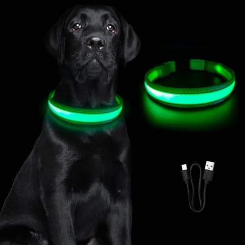 Hundehalsband Leuchtend,Leuchthalsband Hund Aufladbar,Wasserdicht Halsband Hund,Einstellbare Größe,Haustier Sicherheit Kragen,3 Blitzmodi,Haustier Sicherheit Kragen für Hunde für Nacht von Grantop