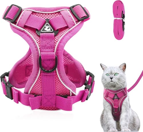 Verstellbares Katzengeschirr Ausbruchsicher, Katzengeschirr mit Leine Set, Softgeschirr für Katze Brustgeschirr für Katzen Kitten Hunde Welpen (Rosa, XS) von Grantop