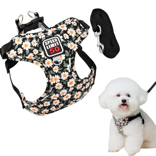 Hundegeschirr Reflektierend mit Leine, Atmungsaktiv Brustgeschirr, Katzengeschirre Air-Mesh, Hunde Geschirr, Verstellbare Welpengeschirr für Kleine Mittel Haustiere (Schwarz) von Granvoo