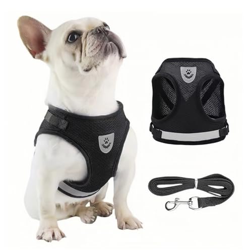 Verstellbare Brustgeschirr, Hundegeschirr mit Leine Reflektierend, Welpen Geschirr und Leine Sets, Hundegeschirr mit Leine Reflektierende Verstellbare Katzen Weste für Kleine Mittele Hunde Katzen (S) Verstellbare Brustgeschirr, Hundegeschirr mit Leine Reflektierend, Welpen Geschirr und Leine Sets, Hundegeschirr mit Leine Reflektierende Verstellbare Katzen Weste für Kleine Mittele Hunde Katzen (S) von Granvoo