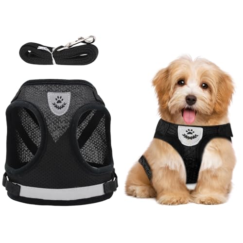 Verstellbare Brustgeschirr, Hundegeschirr mit Leine Reflektierend, Welpen Geschirr und Leine Sets, Hundegeschirr mit Leine Reflektierende Verstellbare Katzen Weste für Kleine Mittele Hunde Katzen (XS) Verstellbare Brustgeschirr, Hundegeschirr mit Leine Reflektierend, Welpen Geschirr und Leine Sets, Hundegeschirr mit Leine Reflektierende Verstellbare Katzen Weste für Kleine Mittele Hunde Katzen (XS) von Granvoo