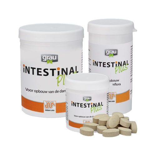 GRAU Intestinal Plus - 120 Tabletten von Grau
