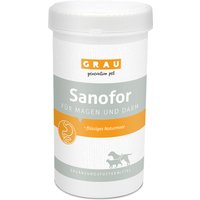 GRAU Sanofor Magen/Darm - 2 x 1 kg von Grau
