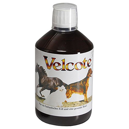 GRAU - das Original - Velcote, kaltgepresstes Öl mit wichtigen Omega 3 - und Omega -6 Fettsäuren zur Unterstützung des Fellwechsels 1er Pack (1 x 100 ml), Ergänzungsfuttermittel für Hunde & Katzen von Grau