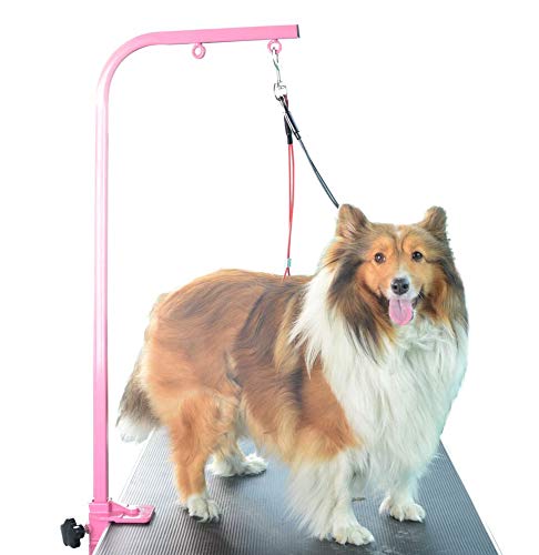 Gravitis Fellpflege-Set für Hunde mit Hals- und Lendenhaltern, zur Anwendung mit Trimmtisch Gravitis Fellpflege-Set für Hunde mit Hals- und Lendenhaltern, zur Anwendung mit Trimmtisch von Gravitis