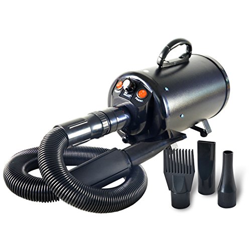 Gravitis Haartrockner, 3.2HP, stufenlos, für Hunde und Katzen, Schwarz von Gravitis