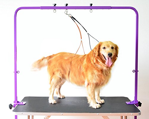 Gravitis Pet Line Gerüstaufbau zur Fellpflege inkl. Befestigungen und Geschirr, größenverstellbar, für Fellpflege-Tische Gravitis Pet Line Gerüstaufbau zur Fellpflege inkl. Befestigungen und Geschirr, größenverstellbar, für Fellpflege-Tische von Gravitis