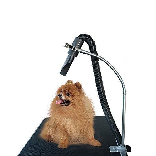 Gravitis Pet Supplies Robuster Hundefön-Schlauchhalter – nur Halterung – geeignet für die Verwendung mit einem Tierpflegetisch von Gravitis