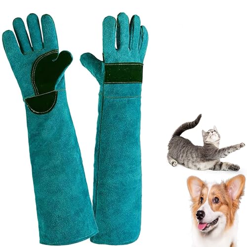 Graxury Verbesserte Verdickung 60 cm Bissfeste Handschuhe für den Umgang mit Tieren - Anti-Biss Arbeitshandschuhe zum Pflegen, Schweißen, Umgang mit Hund/Eidechse/Katze/Vogel/Schlange (Blau) von Graxury