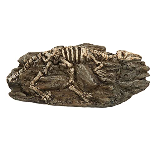 Grcfumo Dinosaurier Aquarium Dekoration, Dekoration Skelett Loch Harz, Harz Reptilienschmuck Aquarium Tierhandwerk für Fischtankdekoration von Grcfumo