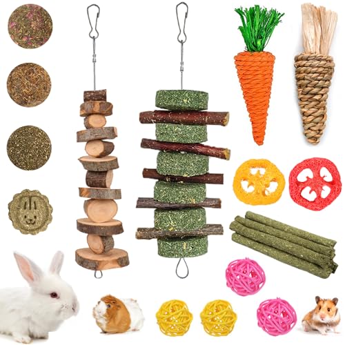 Grddaef Bunny Kauspielzeug für Zähne, natürliches Kaninchenspielzeug, Apfelholz, Gras, Timothy Sticks zum Kauen und Leckerli für Meerschweinchen, Hamster, Chinchillas (20 Stück) von Grddaef