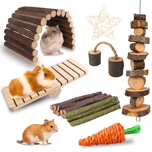 Grddaef Hamsterspielzeug, Kaninchen-Kauspielzeug, Meerschweinchen-Anreicherungsspielzeug, Käfigzubehör für Chinchilla, Rennmäuse, Ratten, Hasen, Eichhörnchen von Grddaef