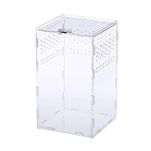 Futterbox Transparent Behälter Acryl Terrarium für Spinnen Kleine Schlangen Reptilien für Transportbox leicht zu essen von Greabuy