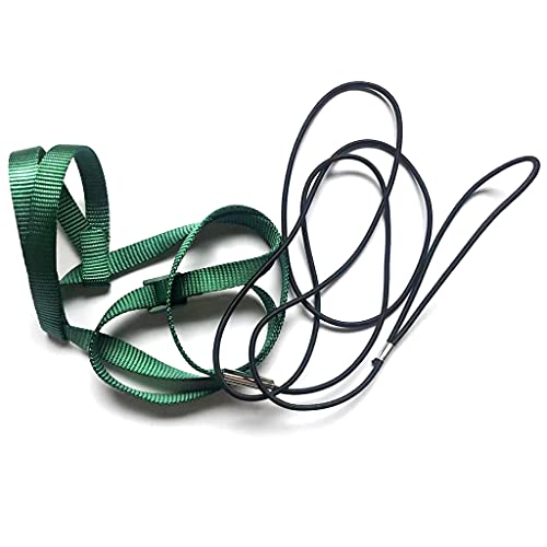 Greabuy Hundegeschirr für Papageien, Vögel, verstellbar, Anti-Biss-Trainingsseil, Outdoor-Aktivitäten, fliegende Zuggurte Greabuy Hundegeschirr für Papageien, Vögel, verstellbar, Anti-Biss-Trainingsseil, Outdoor-Aktivitäten, fliegende Zuggurte von Greabuy