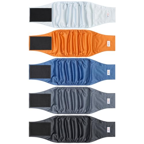 Wiederverwendbare Premium-Bauchbänder für Hunde, hochabsorbierende Hundewindeln für Rüden, Urinenzwickel für Hunde bei Inkontinenz oder aufgeregtem Wasserlassen und Training, Grau, Größe S, 5 Stück Wiederverwendbare Premium-Bauchbänder für Hunde, hochabsorbierende Hundewindeln für Rüden, Urinenzwickel für Hunde bei Inkontinenz oder aufgeregtem Wasserlassen und Training, Grau, Größe S, 5 Stück von Grecle