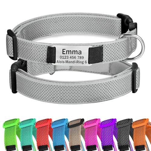 Grau Hundehalsband Reflektierendes gepolstertes Nylon verstellbar mit Schnalle Personalisiert mit Namen und Telefonnummer für kleine Hunde, S von Gredstar