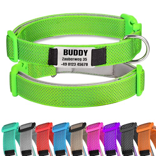 Grün Hundehalsband Reflektierendes gepolstertes Nylon verstellbar mit Schnalle Personalisiert mit Namen und Telefonnummer für große Hunde, L von Gredstar