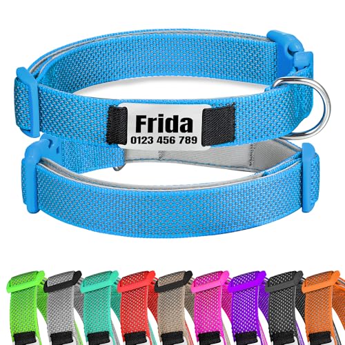 Hellblau Hundehalsband Reflektierendes gepolstertes Nylon verstellbar mit Schnalle Personalisiert mit Namen und Telefonnummer für große Hunde, XL von Gredstar