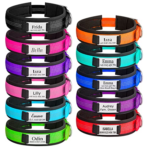 Hundehalsbänder mit Metallschnalle Personalisiertes Hundehalsband mit edler Namensplakette Nylon Halsband mit weich Gepolstertes Neopren Halsbänder mit Gravur von Gredstar