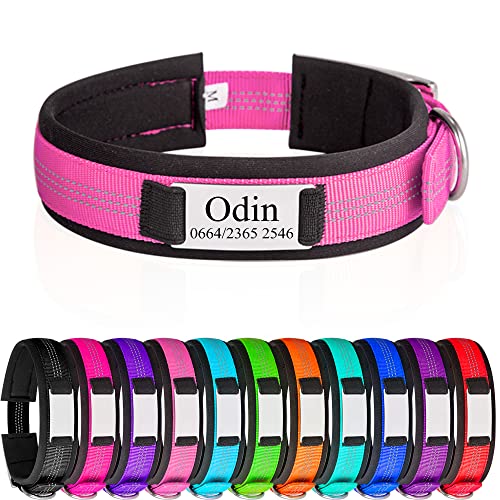 Hundehalsbänder mit Metallschnalle Reflektierende Hundehalsband mit Namensplakette Personalisiertes Nylon Halsband mit weich Gepolstertes Neopren Halsbänder mit Gravur von Gredstar