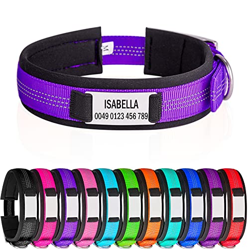 Hundehalsbänder mit Metallschnalle Reflektierende Hundehalsband mit Namensplakette Personalisiertes Nylon Halsband mit weich Gepolstertes Neopren Halsbänder mit Gravur von Gredstar