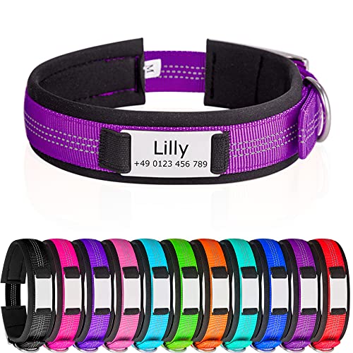 Hundehalsbänder mit Metallschnalle Reflektierende Hundehalsband mit Namensplakette Personalisiertes Nylon Halsband mit weich Gepolstertes Neopren Halsbänder mit Gravur von Gredstar