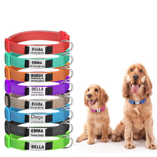 Hundehalsband, Reflektierend Halsband aus Nylon mit Weichem Neopren Polsterung einstellbar Hundehalsbänder Personalisiertes Hundehalsbänder (Halsband mit Schild) von Gredstar