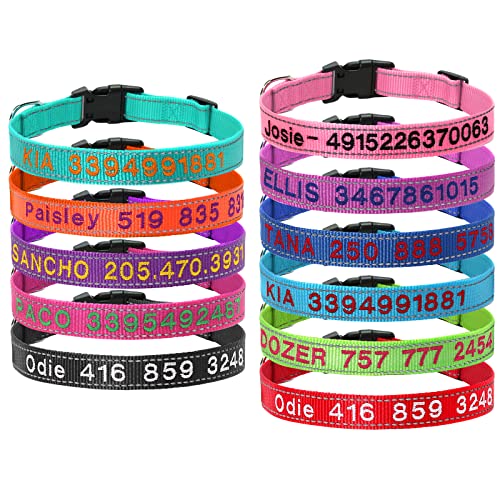 Hundehalsband Reflektierend Halsband Personalisierte Halsbander mit Namen Telefonnummer Bestickt von Gredstar