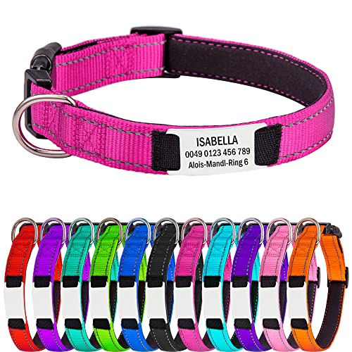 Hundehalsband für Kleine Hunde, Reflektierend Halsband aus Nylon mit Weichem Neopren Polsterung einstellbar Hundehalsbänder Personalisiertes Hundehalsbänder von Gredstar