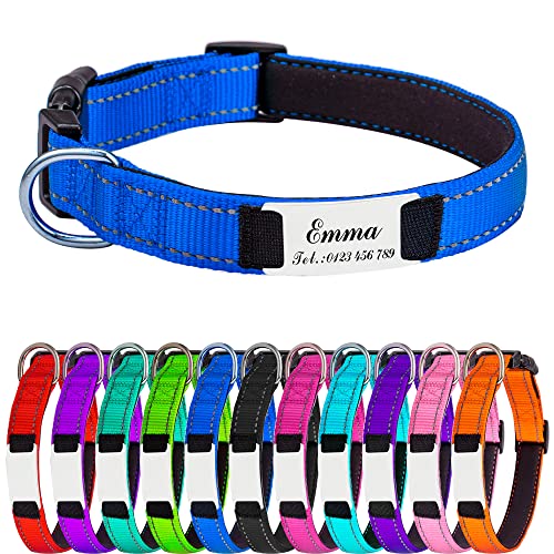 Hundehalsband für Kleine Hunde, Reflektierend Halsband aus Nylon mit Weichem Neopren Polsterung einstellbar Hundehalsbänder Personalisiertes Hundehalsbänder von Gredstar