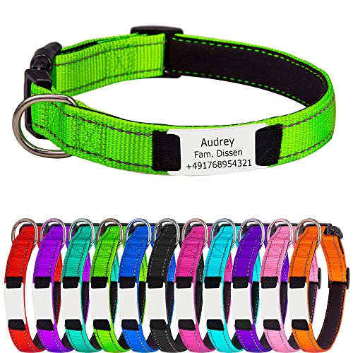 Hundehalsband für Kleine Hunde, Reflektierend Halsband aus Nylon mit Weichem Neopren Polsterung einstellbar Hundehalsbänder Personalisiertes Hundehalsbänder von Gredstar