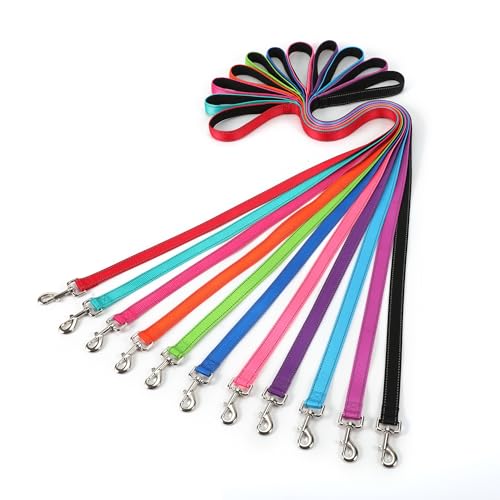 Hundeleine 1.8m x 2.5cm Mittelgroße Große Hunde Leicht Reflektierend Hundeleine aus Nylon mit Weichem Neopren Polsterung von Gredstar