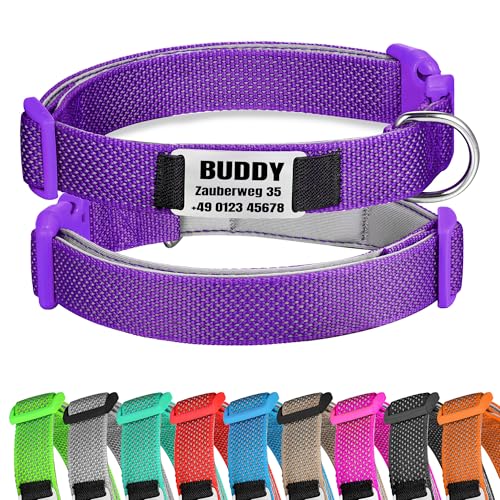 Lila Hundehalsband Reflektierendes gepolstertes Nylon verstellbar mit Schnalle Personalisiert mit Namen und Telefonnummer für große Hunde, XL von Gredstar
