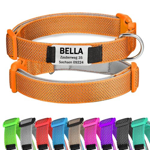 Orange Hundehalsband Reflektierendes gepolstertes Nylon verstellbar mit Schnalle Personalisiert mit Namen und Telefonnummer für kleine Hunde, S von Gredstar
