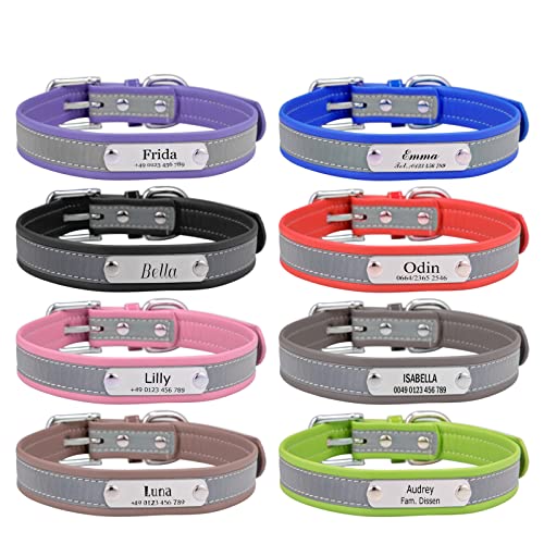 Reflektierende Hundehalsband Katzenhalsband mit Namen Telefonnummer Gravur Einstellbar Halsbänder Personalisiertes Hundehalsbänder von Gredstar