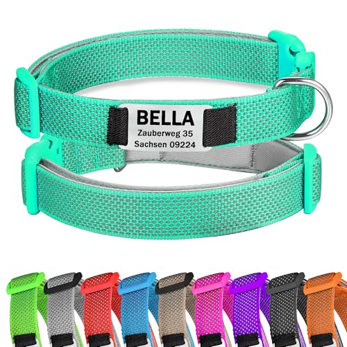 Türkis Hundehalsband Reflektierendes gepolstertes Nylon verstellbar mit Schnalle Personalisiert mit Namen und Telefonnummer für mittelgroße Hunde, M von Gredstar