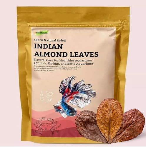 Green Life Org Premium Indian Mandelblatt 50 Blätter 25,4-30,5 cm Catappa Blätter reich an Tannin Awsome Aquarium Dekorationen (groß) von Green Life Org