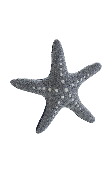 Hundespielzeug Skagen Seestern von Green Petfood