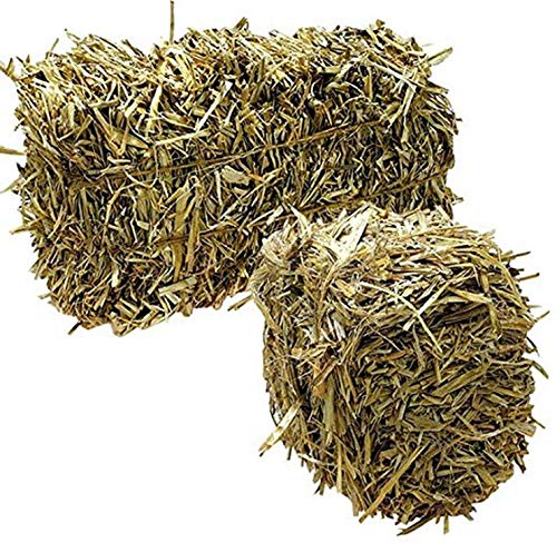 Green Vista Gerstenstrohballen für Bauernhof-Teich-Wasseraufbereitung, 20 bis 11,3 kg, behandelt 1 Acre Farm oder Retention-Teich für 6 Monate. Unterstützt den Wasserhaushalt, sicher für Koi, Fische von Green Vista Water Gardens
