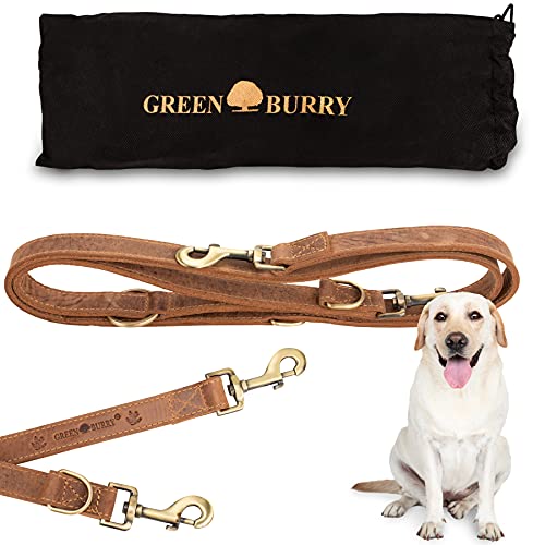 Greenburry Hundeleine Braun 200 cm - Extrem Robust aus hochwertigem und doppellagigen Rindsleder (2,5 cm breit) - Ideale Hunde Leine für Große Hunde - 3 Fach verstellbar - Rostfreier Karabinerhaken von Greenburry