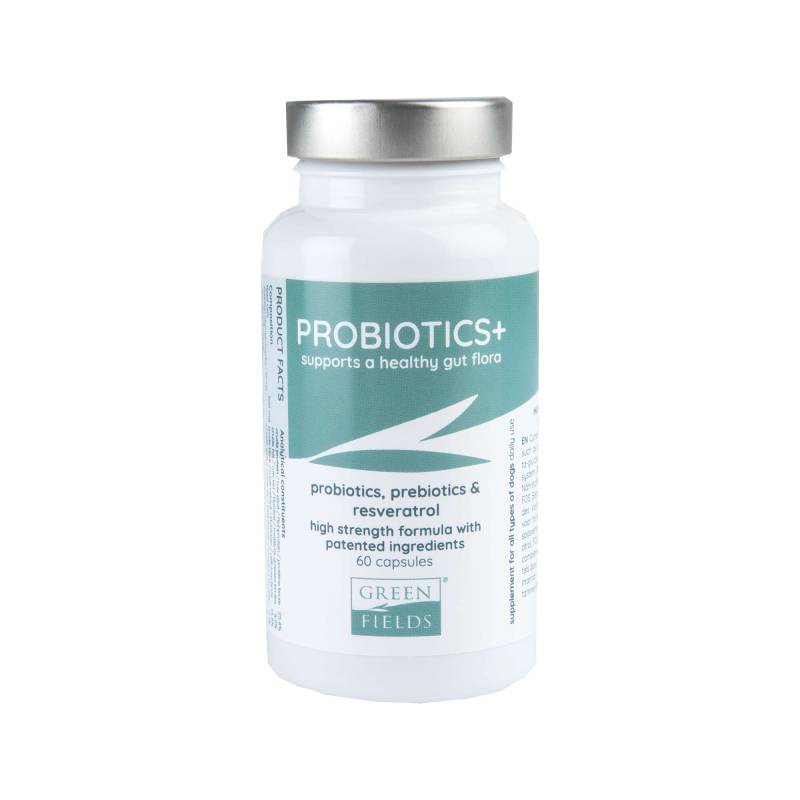 Greenfields - Probiotics+ - 250 ml von Greenfields