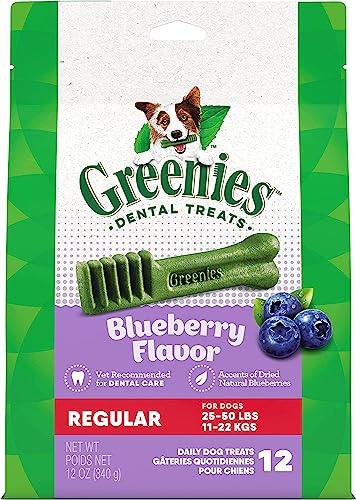 Greenies Bursting Blueberry Dog Dental Treat Regular Size 12 Count - Pack of 2 von Greenies