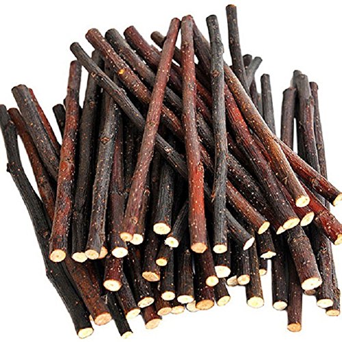 10 Pcs Kaustäbchen aus Naturholz, Zweige für kleine Haustiere, Kaninchen, Hamster, Meerschweinchen, Spielzeug 10 Pcs Kaustäbchen aus Naturholz, Zweige für kleine Haustiere, Kaninchen, Hamster, Meerschweinchen, Spielzeug von Greenlans