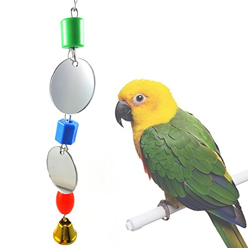 Colorful Bruchfest Spiegel Parrot Vogelkäfig Spielzeug zum Aufhängen Swing Kauen Ornaments Versenden zufällige Farbe von Greenlans