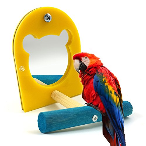 Hängendes Vogelspielzeug mit Sitzstange und Spiegel für Papageien, Sittiche, Finken, Kakadus von Greenlans