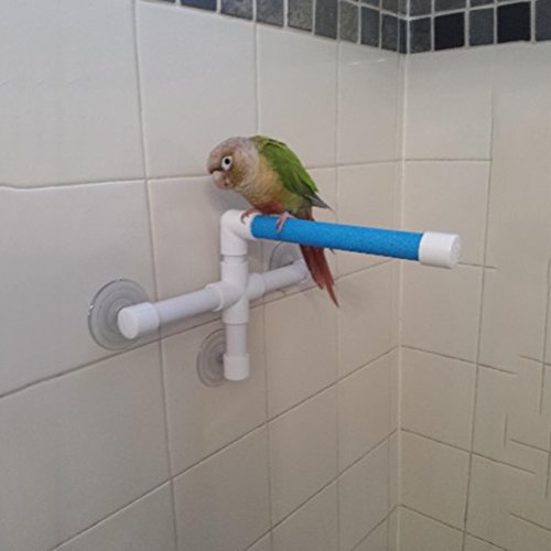 Portable Saugnapf-Duschstangenständer für Vögel Papageien Wellensittiche Sittiche Nymphensittiche Aras Graupapageien Badestangenspielzeug Portable Saugnapf-Duschstangenständer für Vögel Papageien Wellensittiche Sittiche Nymphensittiche Aras Graupapageien Badestangenspielzeug von Greenlans