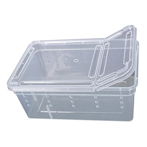 Greenlans Transparente Kunststoffbox für Insekten Reptilien Transport Zucht Lebendfutter Futterbox Greenlans Transparente Kunststoffbox für Insekten Reptilien Transport Zucht Lebendfutter Futterbox von Greenlans