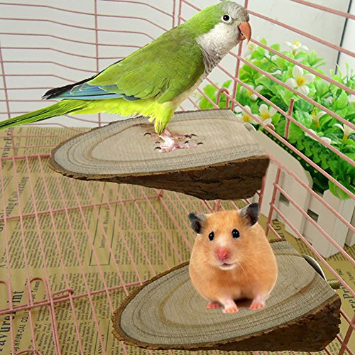 greenlans Pet Parrot Holz Plattform Ständer Rack Spielzeug Hamster Ast Sitzstangen für Vogelkäfig von Greenlans