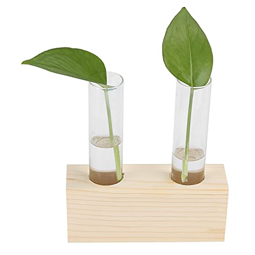 Reagenzglasstation, Glasblumen-Terrarium, Glasvase mit Holzständer, Hydroponische Pflanzenvermehrung, Klarglas-Pflanzgefäß für Desktop-Glas-Pflanzgefäß für(Doppelschlauch-Hydroponik) von Greensen